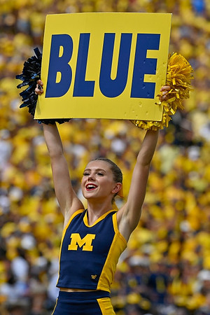 Michigan Cheerleaders