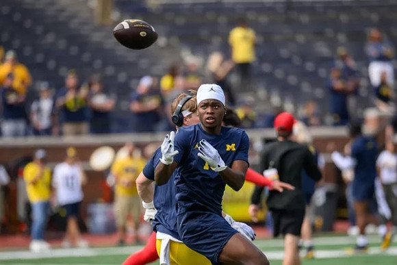 Michigan Player