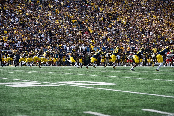 Michigan Team