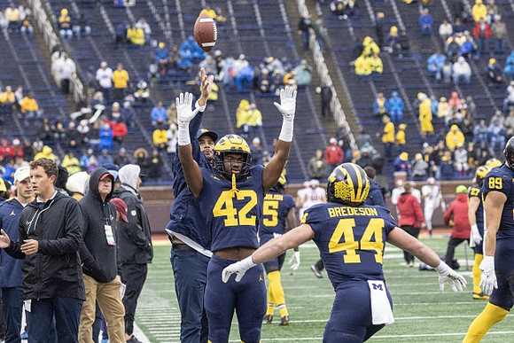 Michigan Team