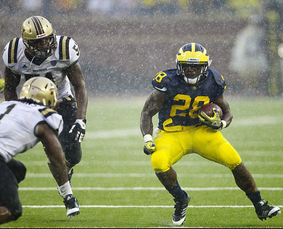 Fitzgerald Toussaint (28)