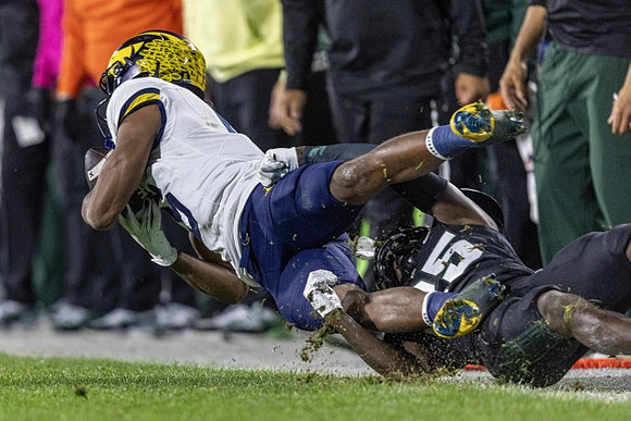 Michigan Player