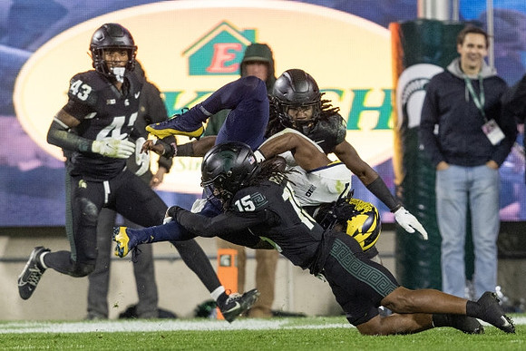 Michigan Player