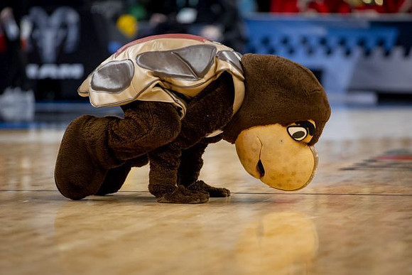 Maryland Mascot
