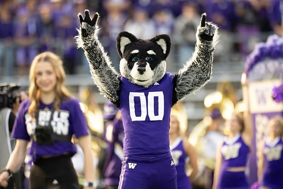 Washington Mascot