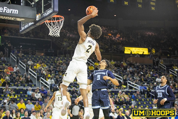 Tray Jackson (2) and Olivier Nkamhoua (13)