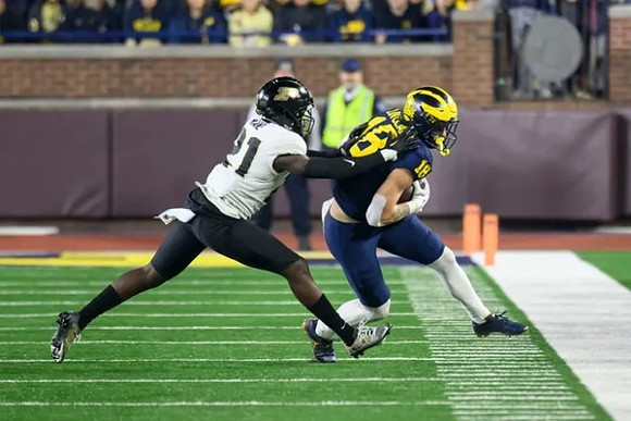 Colston Loveland (18)