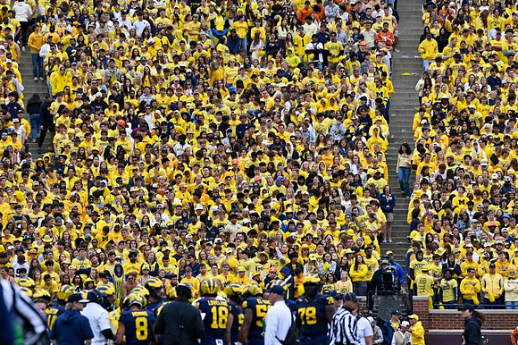 Michigan Team