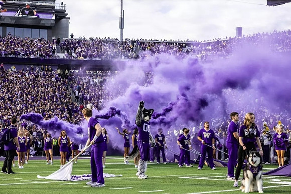 Washington Mascot and Husky Stadium