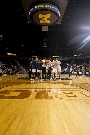 Michigan Team