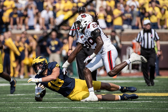 Colston Loveland (18)