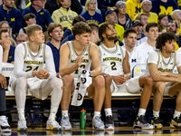 Michigan Team
