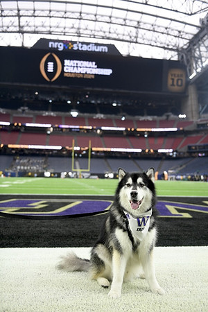 NRG Stadium and Washington Mascot