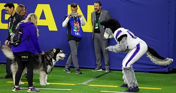 Washington Mascot