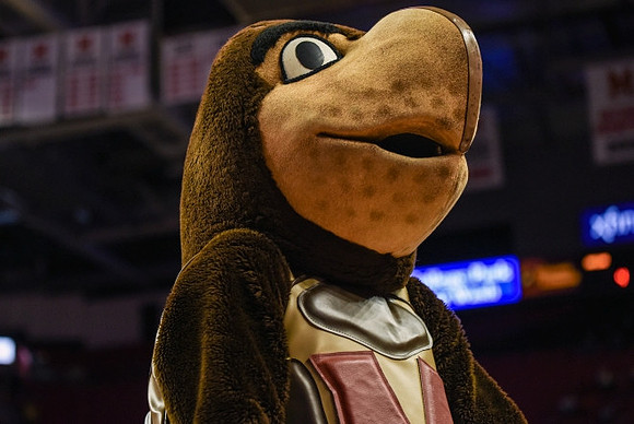 Maryland Mascot