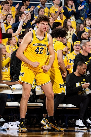 Will Tschetter (42) and Michigan Team