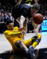 Jaelin Llewellyn (3)