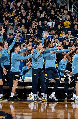 Michigan Team