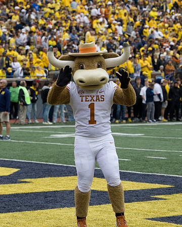 Texas Mascot