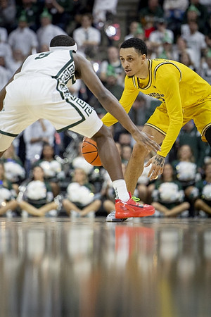 Jaelin Llewellyn (3)