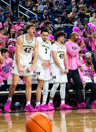 Michigan Team