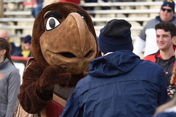 Maryland Mascot