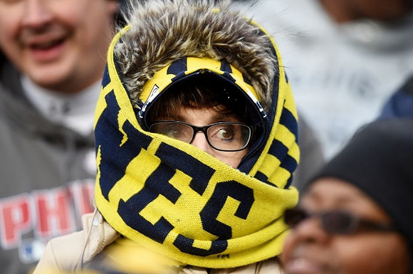 Michigan Fan