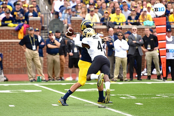 Wilton Speight (3)