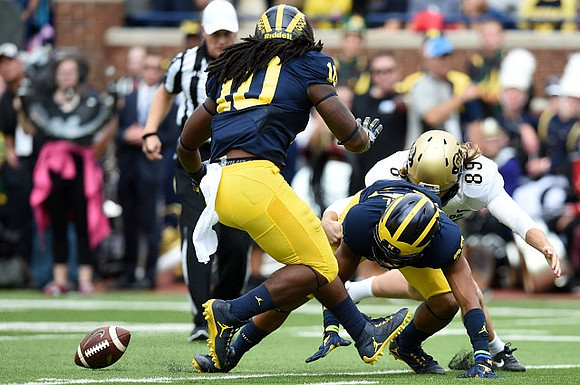 Devin Bush (10) and Tyree Kinnel (23)