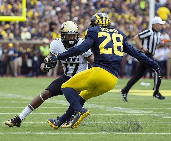 Brandon Watson (28)