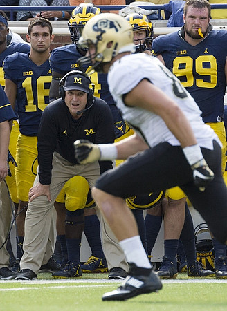 Jim Harbaugh