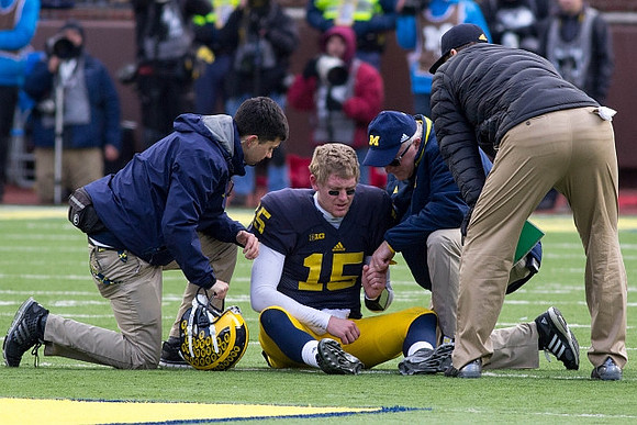 Jake Rudock (15) and Jim Harbaugh