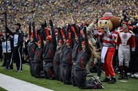 Ohio State Mascot