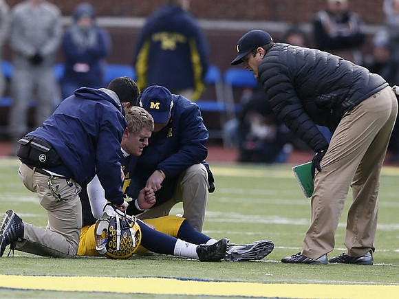 Jake Rudock (15) and Jim Harbaugh