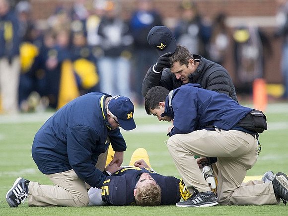 Jake Rudock (15) and Jim Harbaugh