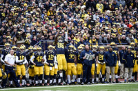 Michigan Team