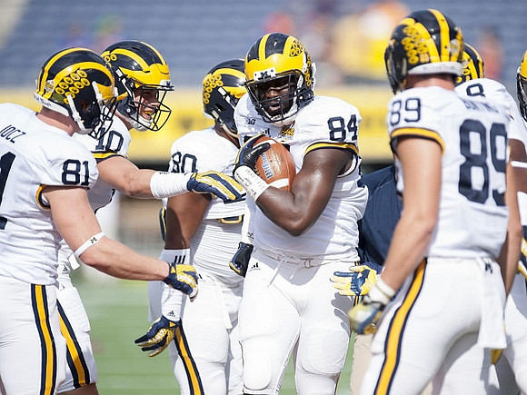 Michigan Team