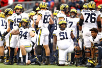 Michigan Team