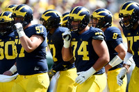 Michigan Team