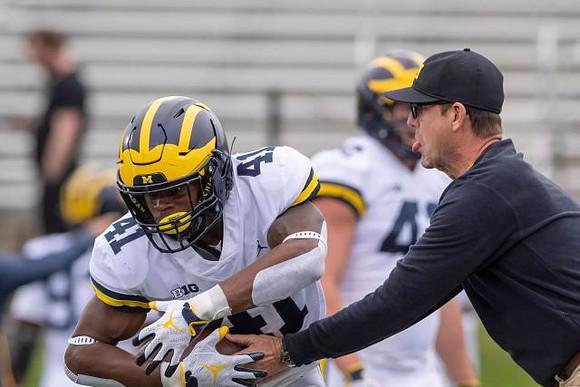 Christian Turner (41) and Jim Harbaugh