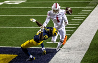 Mike Sainristil (19)