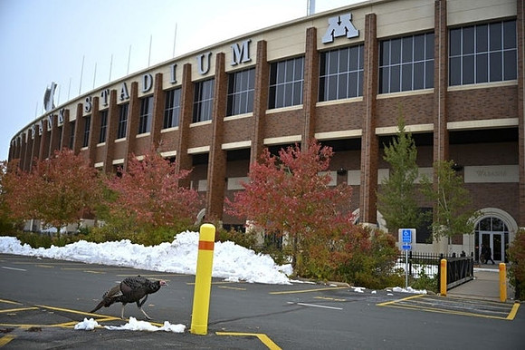 TCF Bank Stadium