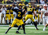 Shea Patterson (2) and Zach Gentry (83)