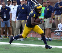 Donovan Peoples-Jones (9)