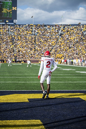 Michigan Stadium