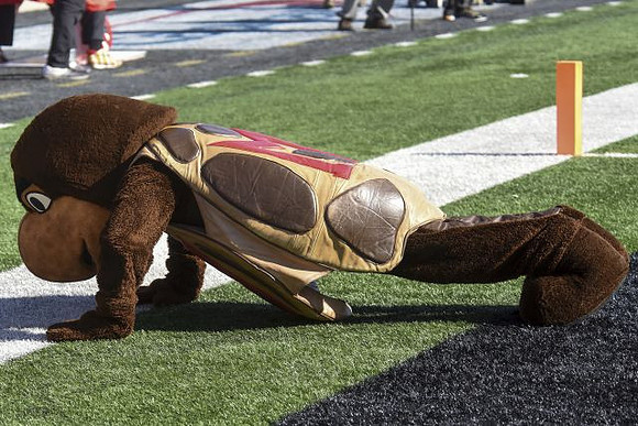 Maryland Mascot