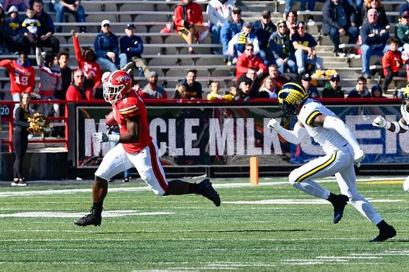 Michigan Player