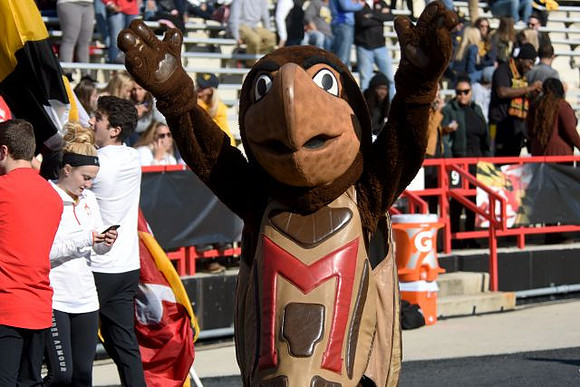 Maryland Mascot