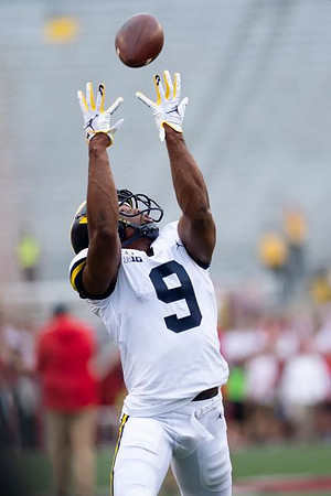 Donovan Peoples-Jones (9)