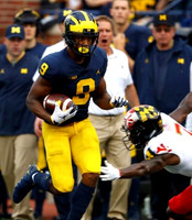 Donovan Peoples-Jones (9)